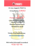 Imagine atasata: 2016-Retail-Profi-Giroc.png